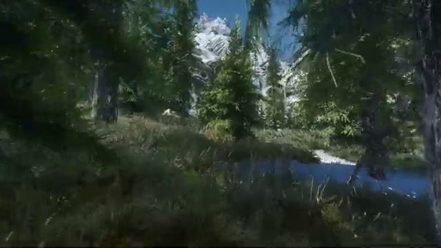 Skyrim LE 2019 Ultra Forest Walk смотреть онлайн
