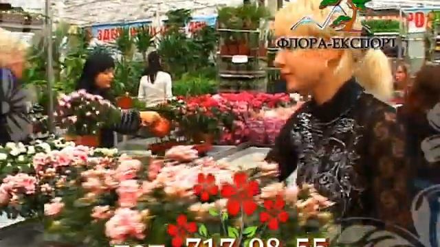 Реклама "Флора Экспорт" смотреть онлайн