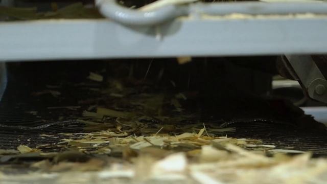 Открытие производства DNS ЛЕС в Спасске-Дальнем. смотреть онлайн