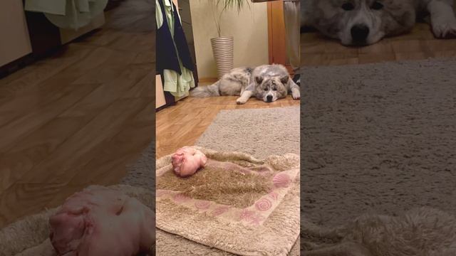 Зажор выглядит именно так)) смотреть онлайн