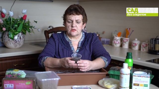 Как сделать грунт для рассады своими руками; как защитить хвойные зимой . смотреть онлайн