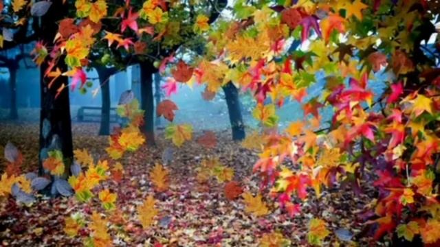 Стихотворение- "Листопад" смотреть онлайн