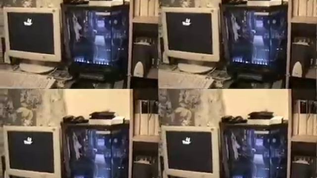 Комп в масле PCera