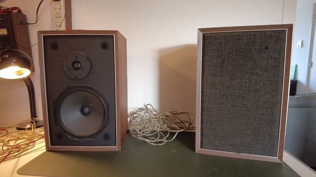 Today's Thrift Haul (Audio & Media) смотреть онлайн