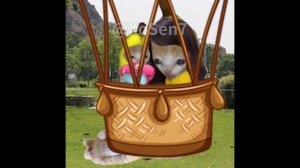 BANANA CAT 🍌🐱 BABY BAD LUCK 😿 VIDEOS 44 ( 2 MINUTES )