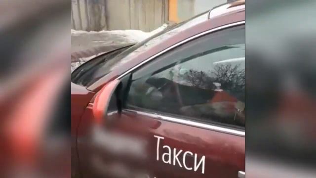 Поддельные номерные знаки смотреть онлайн