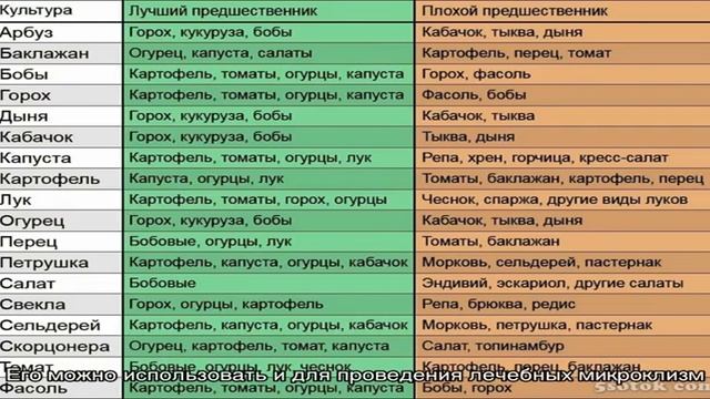 Лечение геморроя картофелем в домашних условиях смотреть онлайн