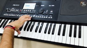 KORG PA-300 | 🇮🇳 Indian Tones - Demo