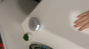 Побег от умной колонки Маруся