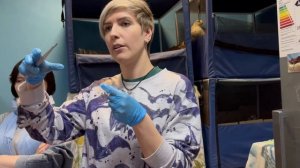 Как избавить дом от ? летучих мышей