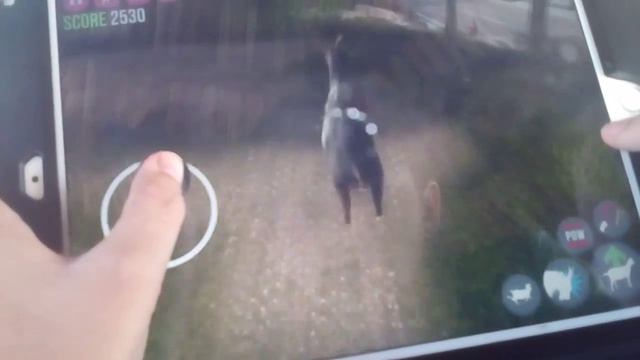 Goat Simulator|La cabra más loca del mundo|ElvisXD Crack смотреть онлайн