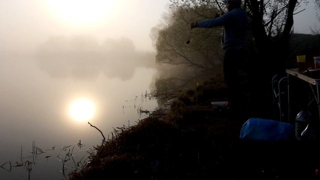 Разведка на реке Созь 2019!!! Много змей. смотреть онлайн