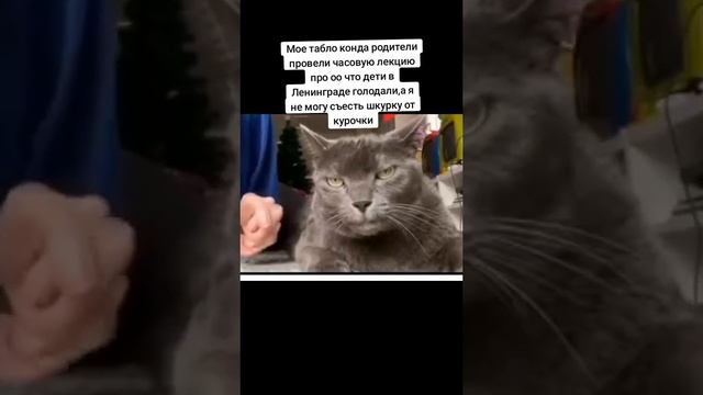 МЬЮИНГ смотреть онлайн