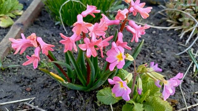 Песня "Прекрасный мир" смотреть онлайн