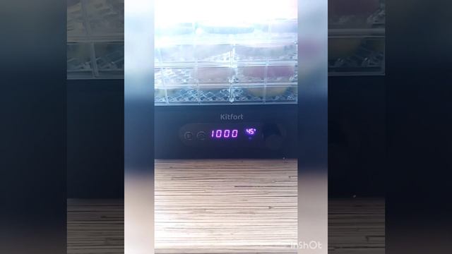 дегидратор сушилка kitfort kt-1936 смотреть онлайн