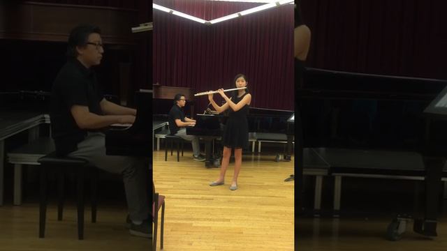 Devienne Flute Concerto No. 2 смотреть онлайн