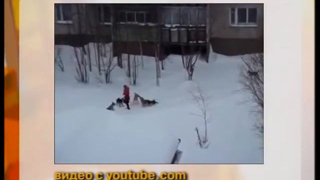 Пермское времечко. Эфир от 19.11.13 смотреть онлайн