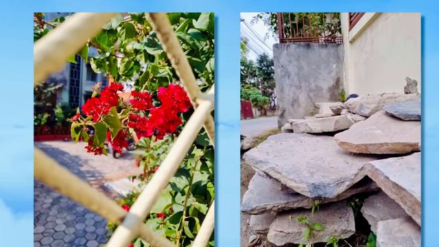 Samsung Galaxy S21 FE in 2024| Camera Test, Gaming Test ,Battery | Samsung Galaxy S21 FE Review 202 смотреть онлайн