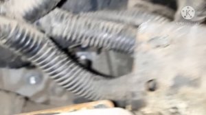 Renault Koleos, замена Прокладки Клапанной крышки