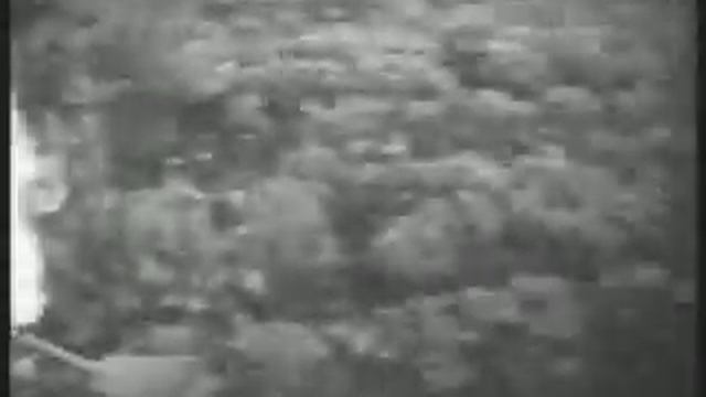 Dacha смотреть онлайн