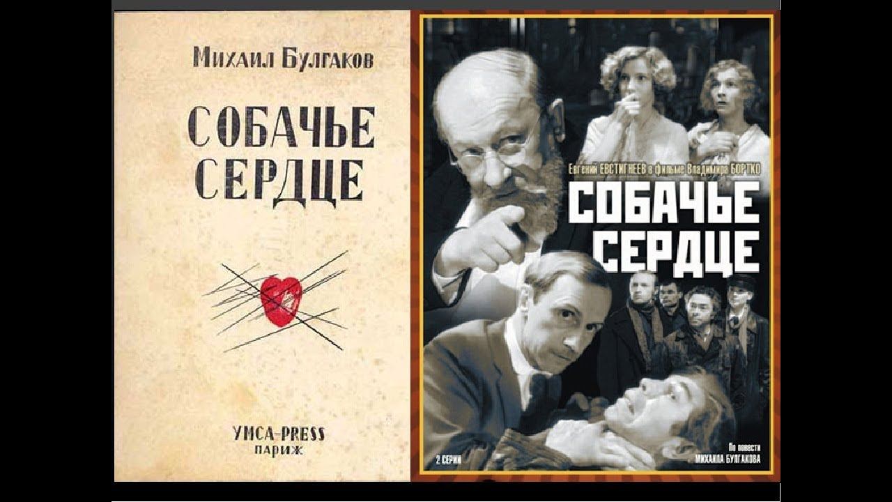 Повесть Михаила Афанасьевича Булгакова «Собачье сердце». Разбор и анализ смотреть онлайн
