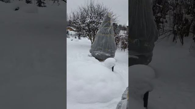 Алексей Глызин*Зимний сад * смотреть онлайн