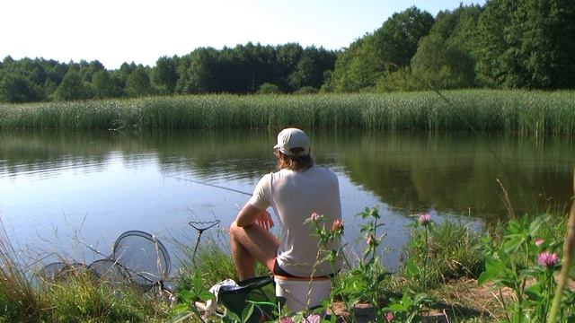 Карась на матч. Matchfishing For Carassio.