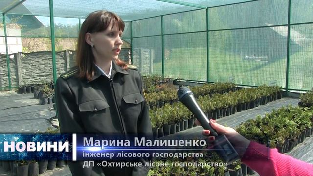 Теплиця Охтирського лісгоспу 30 квітня 2020 смотреть онлайн