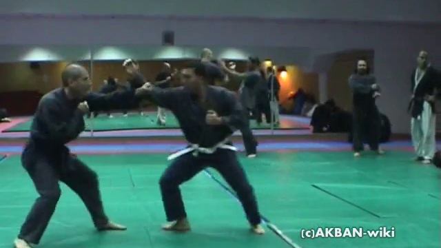 Ten chi no kata - koto ryu смотреть онлайн