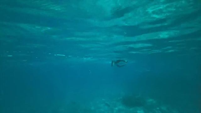 Praslin to Curieuse island, exploring Seychelles! смотреть онлайн