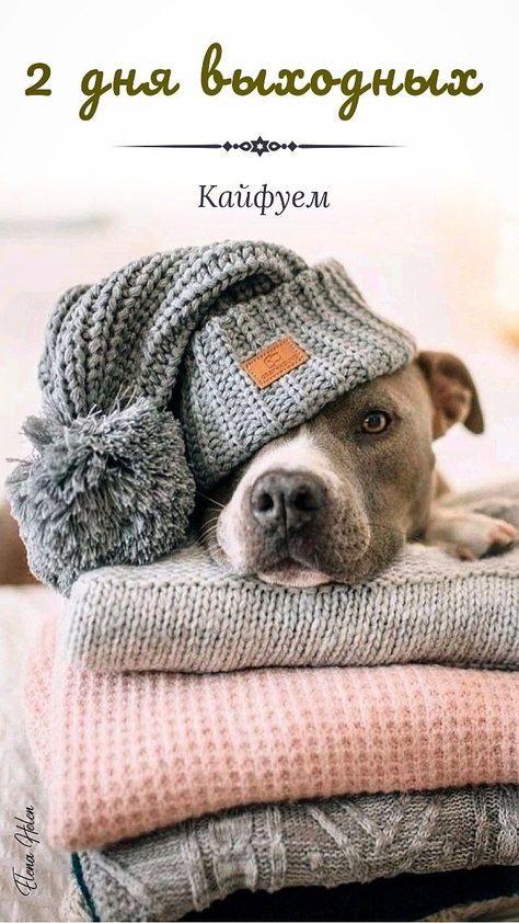 Счастливых выходных!
С пятницей!!! смотреть онлайн