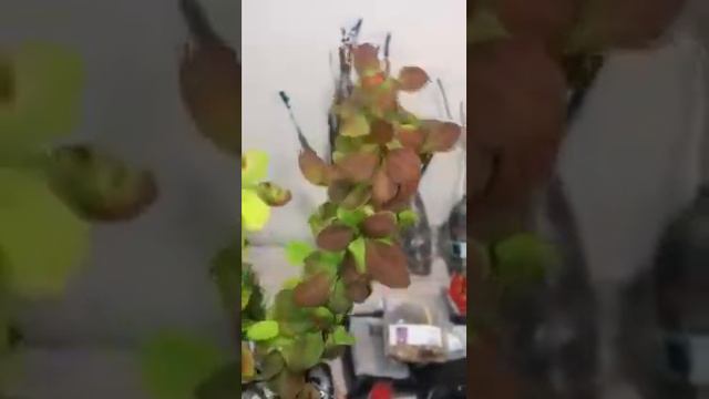 Спасибо, Агромаркет, Мечты Сбываются✨