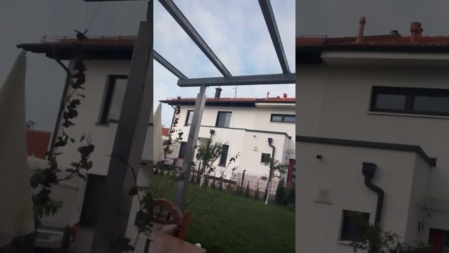 вознесем молитвы наши о мужьях детях родных близких дальних всем благословений от Господа Иисуса смотреть онлайн