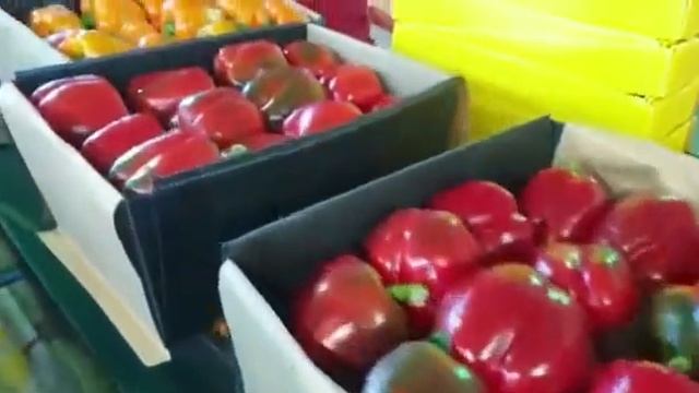 Иран перец Калифорния круглый год от ЮгИмпорт 90 руб кг смотреть онлайн