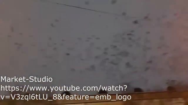 Голуби (вместо прихожан) на Крестном ходе . Такие разные символы. смотреть онлайн