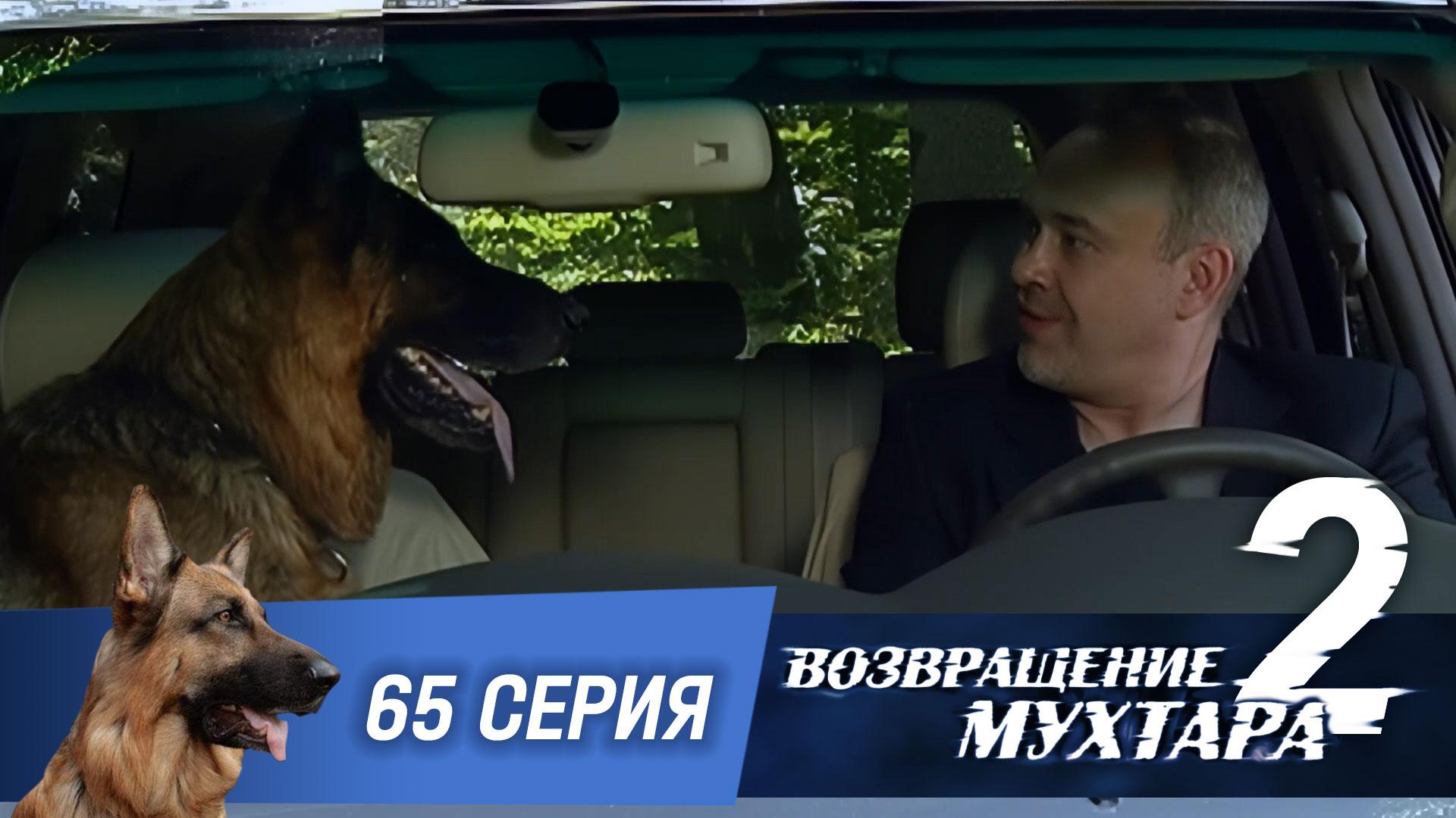 «Возвращение Мухтара — 2». 65 серия. «Угон по понятиям» смотреть онлайн