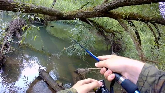 Это всего лишь ЕГО 2 РЫБАЛКА! Ловим на малой реке С НОВИЧКОМ спиннингистом. смотреть онлайн