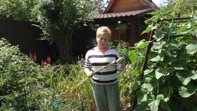 КАК ОПРЕДЕЛИТЬ КОГДА ВЫКАПЫВАТЬ ЧЕСНОК, КАК ЕГО ПРАВИЛЬНО ХРАНИТЬ И ЧТО ПОСЛЕ НЕГО ПОСАДИТЬ! смотреть онлайн