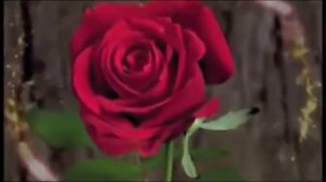 Такая красивая мелодия, что я плачу слушая... Шедевр.