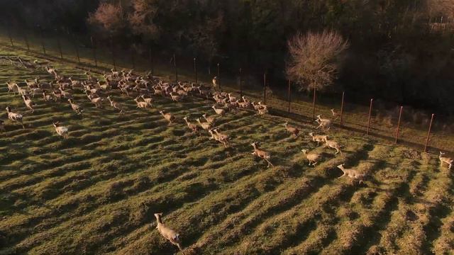 Чечня центральная парки смотреть онлайн