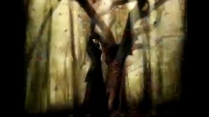 Петлюра "Ты одна стоишь у клёна"