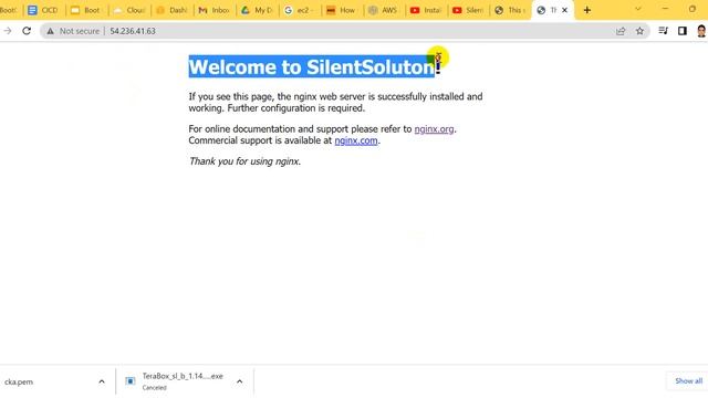 how to change nginx default page aws ec2 ubuntu linux || website launching смотреть онлайн