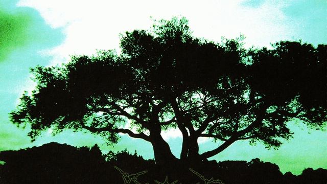 Proteus - Personal Narrative Of Cognitive Dreamscapes (Full Album) смотреть онлайн