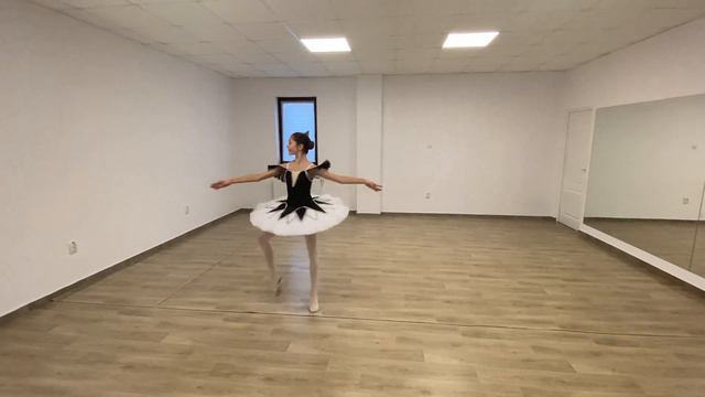 Rebeca Maria Zamfir (11) - Harlequinade - World Dance Movement 2022 - 1st Place Classical Ballet смотреть онлайн