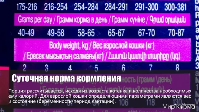 Обзор корма Eukanuba Cat Kitten Healthy Start смотреть онлайн