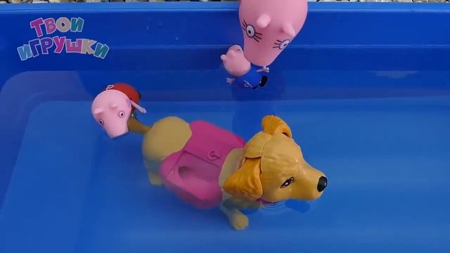 Игрушечная семья у бассейна смотреть онлайн