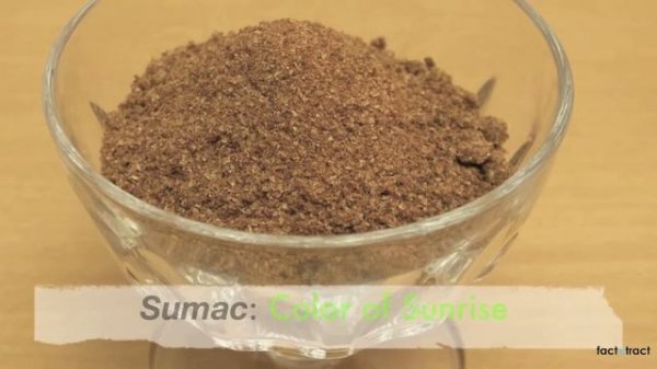 Nowruz (Simply Explained!)                نوروز