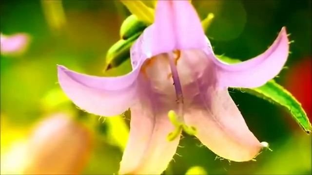 Красивая татарская музыка для отдыха Tatar song смотреть онлайн