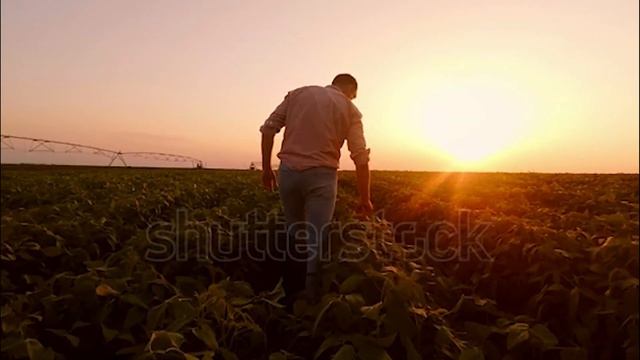 TripFish Домой смотреть онлайн