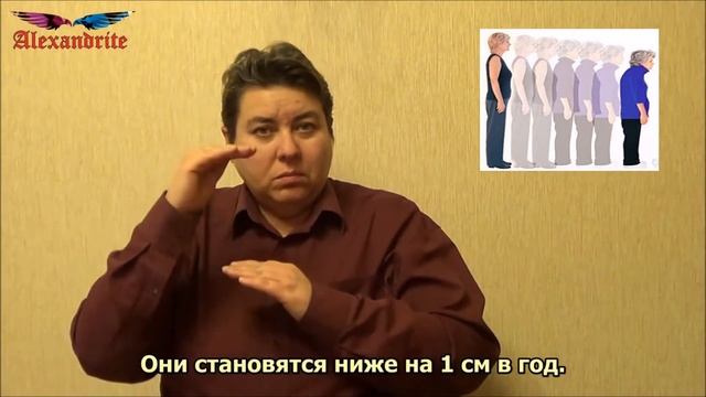 Почему человек с возрастом становится ниже?_(А вы знаете, что...)_Alexandrite_(рус.суб.) смотреть онлайн